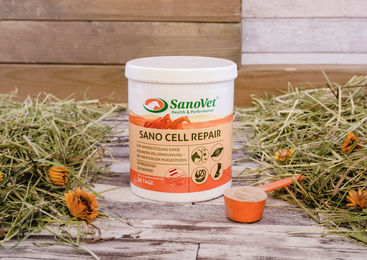 Produktbild von Sano Cell Repair Ergänzungsfutter zur Zellerneuerung