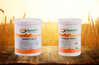 Produktbild von Sano Turnier-Kombi Beruhigung Pulver Ergänzungsfutter für Sport und Leistung