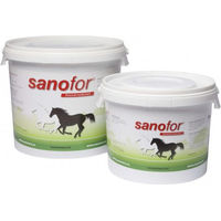 Produktbild von Sanofor Veendrenkstof Pferd Moortrank Haut-Fell-Supplement für Fohlen und Aufzucht 2,5 Liter