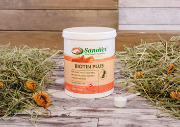 Produktbild von SanoVet Biotin Plus Bio Vitamine Nahrungsergänzung Pulver Ergänzungsfutter