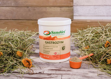 Produktbild von SanoVet Gastrozym Ergänzungsfutter Pulver zur Unterstützung der Verdauung