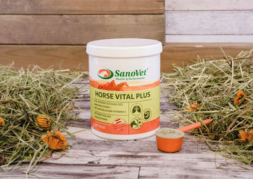 Produktbild von SanoVet Horse Vital Plus Ergänzungsfutter für Pferde mit Vitaminen als Pulver