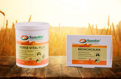 Produktbild von SanoVet Husten-Kombi Ergänzungsfutter für die Atemwege