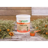 Produktbild von SanoVet Leber Vital Ergänzungsfutter mit Vitaminen als Pulver