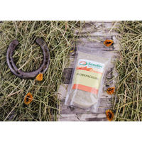 Produktbild von SanoVet Power Tonic Elektrolyte Ergänzungsfutter Pulver Probepackung