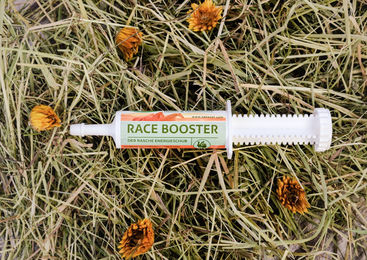 Produktbild von SanoVet Race Booster Ergänzungsfutter Paste für Sport und Leistung 80g