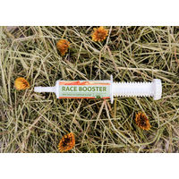 Produktbild von SanoVet Race Booster Ergänzungsfutter Paste für Sport und Leistung 80g