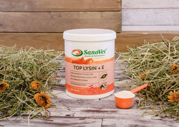 Produktbild von SanoVet Top Lysin + E Ergänzungsfutter Pulver mit Vitaminen 1000g