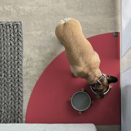 SANOZOO Napfunterlage Eckrund Rot 80 cm Öko-Tex Made in Germany – Bild 1 von 3