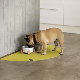 SANOZOO Napfunterlage Halbrund Gelbgrün Öko-Tex Made in Germany – Bild 1 von 2