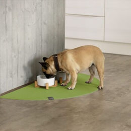 SANOZOO Napfunterlage Halbrund Öko-Tex Made in Germany Grün 40 cm und 80 cm für Katzen – Bild 1 von 2