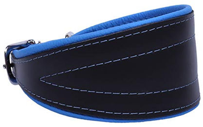 Sarcia Chart Neo Hundehalsband aus Leder Schwarz-Blau 45 cm - 45 cm – Bild 1 von 2