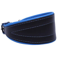 Produktbild von Sarcia Chart Neo Hundehalsband aus Leder Schwarz-Blau 55 cm