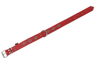 sarcia.eu Hundehalsband aus Leder mit Nieten in Rot 40mm 67cm – Bild 1 von 2