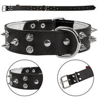 Produktbild von Sarcia.eu Hundehalsband aus schwarzem Leder mit Stacheln 40mm 67cm
