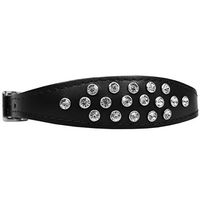 Produktbild von Sarcia Hundehalsband Schwarz mit Kristallen 25 cm Einheitsgröße - 25 cm