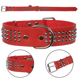 Sarcia Lederhalsband mit Nieten für Hunde in Rot 40mm x 67cm – Bild 1 von 3