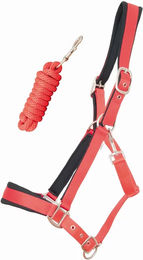 Produktbild von Satiniertes Pferdehalfter mit Longe T de T in Rot für Ponys