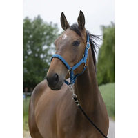 Produktbild von Satiniertes Pferdehalfter Norton für Ponys in Blau aus Kunststoff