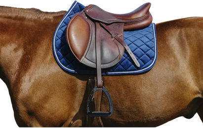 Produktbild von Satteldecke für Pferde aus Samt von Riding World in Blau und Gold
