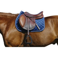 Produktbild von Satteldecke für Pferde aus Samt von Riding World in Blau und Gold