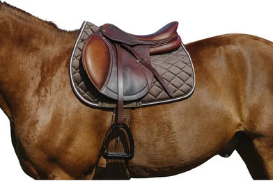 Produktbild von Satteldecke für Pferde aus Samt von Riding World in Braun, Gold oder Grau