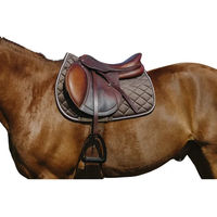 Produktbild von Satteldecke für Pferde aus Samt von Riding World in Braun, Gold oder Grau
