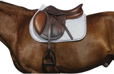 Produktbild von Satteldecke für Pferde aus Velours von Riding World in Weiß und Gold