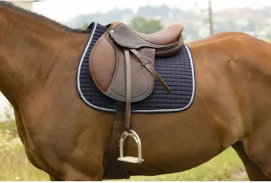 Produktbild von Sattelunterlage Riding World Girly Blau aus Polyester für Pferde