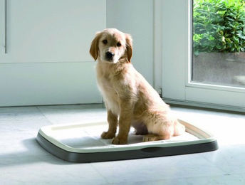 Produktbild von Savic Ersatzpads für Puppy Trainer Hundetoilette für Welpen Größe L 60 x 45 cm 30 Stück