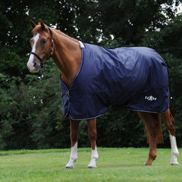 Produktbild von Saxon Defiant 600D Standard Neck Lite Pferdedecke aus Polyester in Blau-Weiß