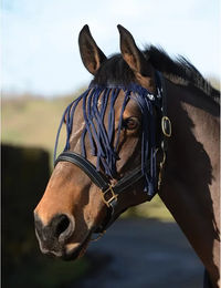 Saxon Essential Fly Fringe Halfter für Ponys in Blau – Bild 1 von 6