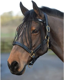 Saxon Essential Fly Fringe Halfter für Ponys in Schwarz mit Kamm – Bild 1 von 2