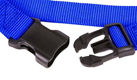 Scarlet Bijoux Hundehalsband Mini aus Nylon mit Klickverschluss und Längenverstellung Lila XS – Bild 1 von 4