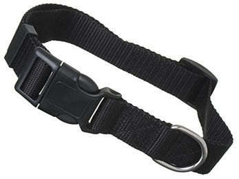 Scarlet Bijoux Hundehalsband Universal aus Nylon mit Klickverschluss Schwarz Größe S – Bild 1 von 3