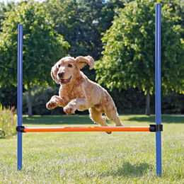 Schecker Agility-Hürden-Set Hundespielzeug aus Kunststoff mit Tasche stufenlos verstellbar – Bild 1 von 3