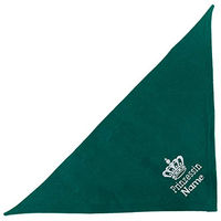 Produktbild von Schecker Besticktes Hundehalstuch Prinzessin mit Krone in Petrol 35 cm - 35 cm