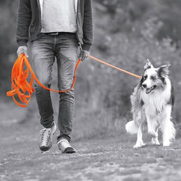 Schecker Biothane Schleppleine mit Handschlaufe Rot 10 m 19 mm wasserabweisend - 10 m – Bild 1 von 2