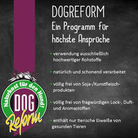 Produktbild von Schecker Dogreform Grüner Rinderpansen Natur Kauartikel für Hunde Monoprotein ohne Zusätze 500g - 500 g