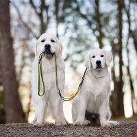Produktbild von Schecker FOURSEASON Schleppleine aus Biothane für Hunde 2,50 m wasserabweisend - 2,5 m