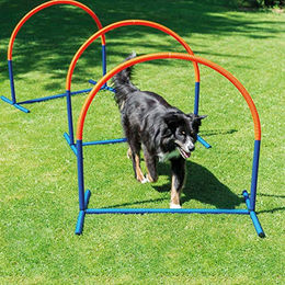 Schecker Hoopers Agility Bogen für Hunde aus wetterfestem Kunststoff 100x90 cm bunt – Bild 1 von 2