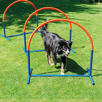 Produktbild von Schecker Hoopers Agility Bogen für Hunde aus wetterfestem Kunststoff 100x90 cm bunt