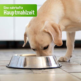 Schecker Hund Nassfutter Huhn PUR Stückchen in Sauce Monoprotein getreidefrei 48 x 410 g - 48 x 410 g – Bild 1 von 2