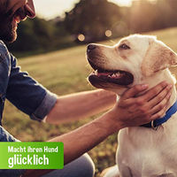 Produktbild von Schecker Hundefutter Nassfutter Pute getreidefrei hypoallergen 48 x 410 g - 48 x 410 g