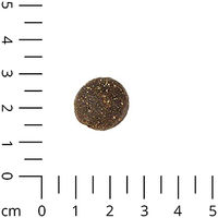 Produktbild von Schecker Hundefutter Nierenschonkost mit Lamm Diätfutter für Magen-Darm und Nieren 1,5 kg