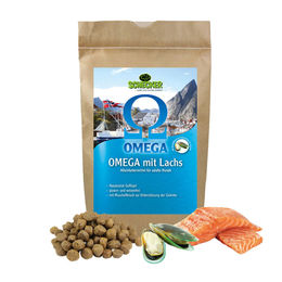 Schecker Hundefutter Omega mit Lachs Adult Trockenfutter glutenfrei 1,5 kg - 1,5 kg – Bild 1 von 2