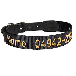 Schecker Hundehalsband aus Nylon in Schwarz mit gesticktem Namenszug 52/57 cm – Bild 1 von 2