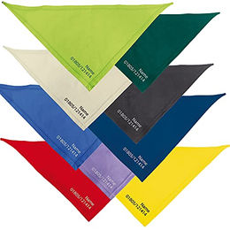 Produktbild von Schecker Hundehalsband Bandana Royalblau bestickt mit Name und Telefonnummer 65cm