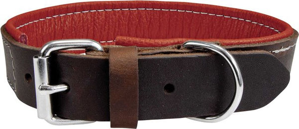 Schecker Hundehalsband Moorfeuer aus Leder in Braun – Bild 1 von 4