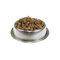 Produktbild von Schecker Hundetrockenfutter Strauß und Mais Hypoallergen Single-Protein für Adult 12 kg - 12 kg